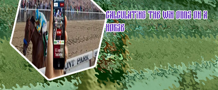 How much can you win betting on horses