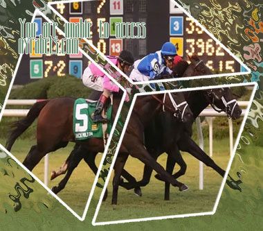 How to understand betting odds horse racing