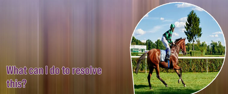 What is sp in horse betting